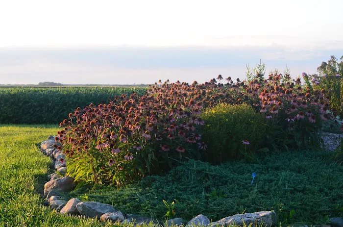 Merrill Landscape Services Picture 4