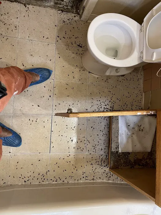 Pointe Pest Control Picture 3