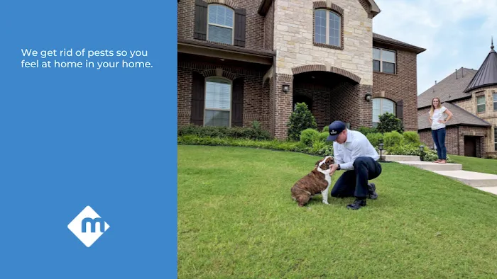 Moxie Pest Control Picture 9