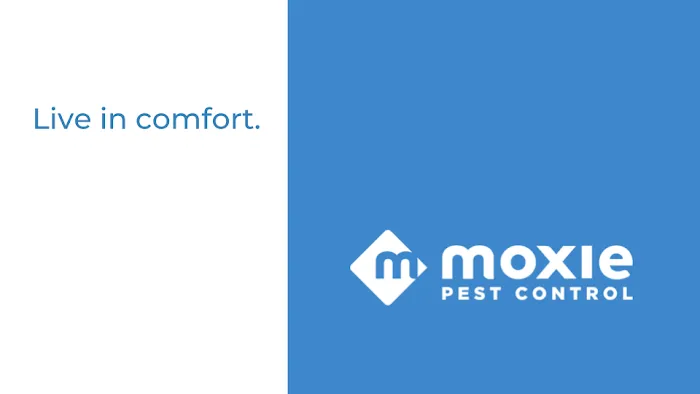 Moxie Pest Control Picture 2