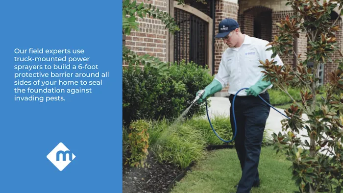 Moxie Pest Control Picture 1