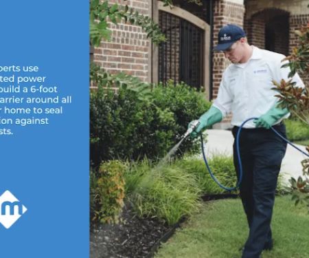 Moxie Pest Control