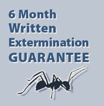 Midwest Exterminating Picture 6