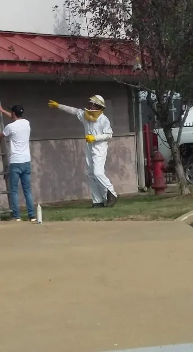 Century Exterminating Co - Pest Control Experts Picture 1
