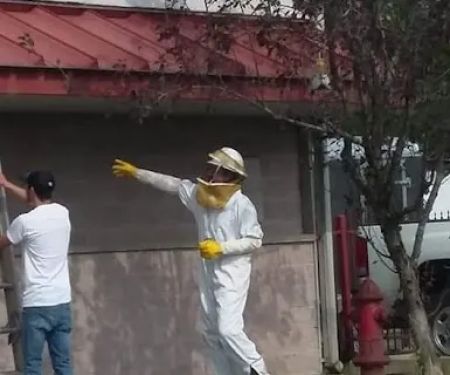 Century Exterminating Co - Pest Control Experts