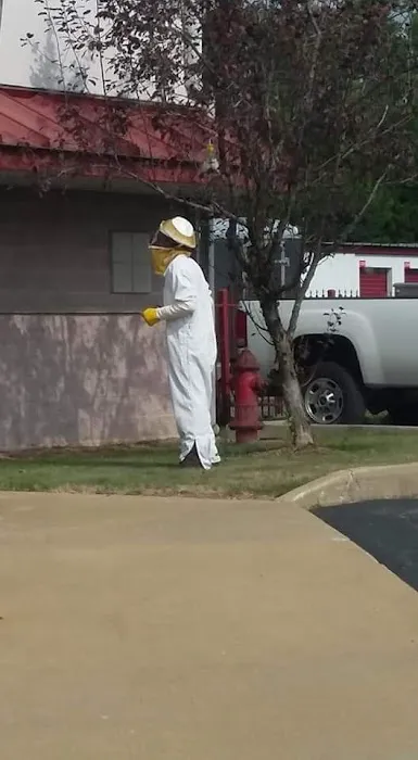 Century Exterminating Co - Pest Control Experts Picture 6
