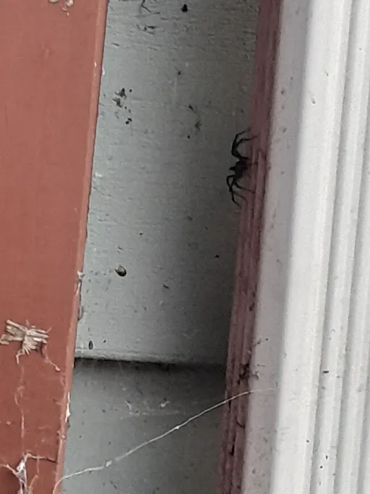 EcoShield Pest Solutions Picture 6