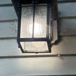EcoShield Pest Solutions