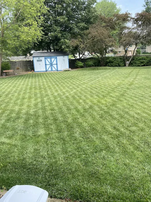 Spring Green Picture 4