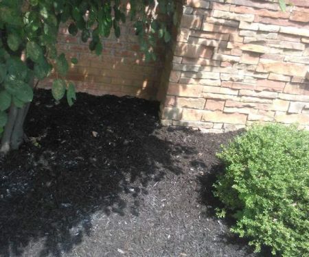 Schafer & Family Lawn Maintenance & more