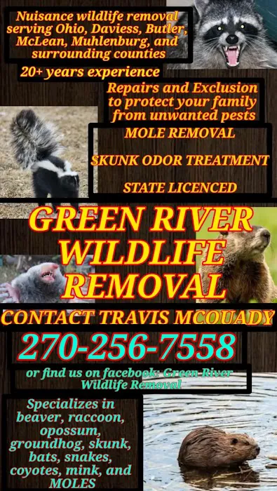 Green River Wildlife Removal Picture 6