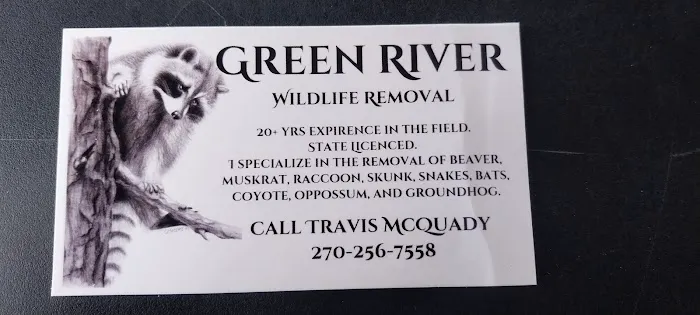Green River Wildlife Removal Picture 2