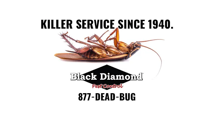 Black Diamond Pest Control Picture 10