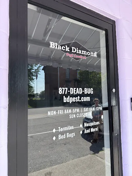 Black Diamond Pest Control Picture 5