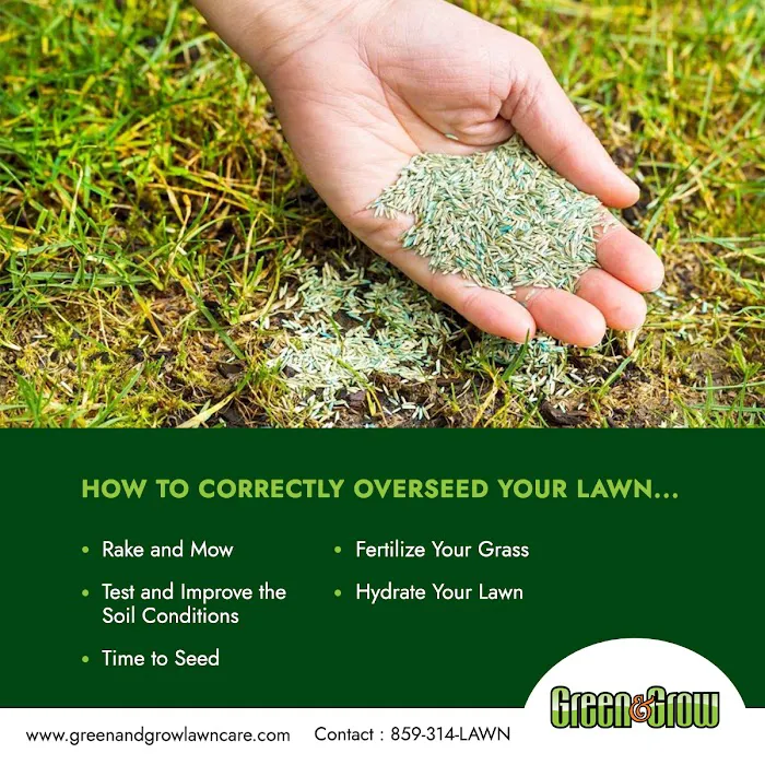 Green & Grow Picture 5