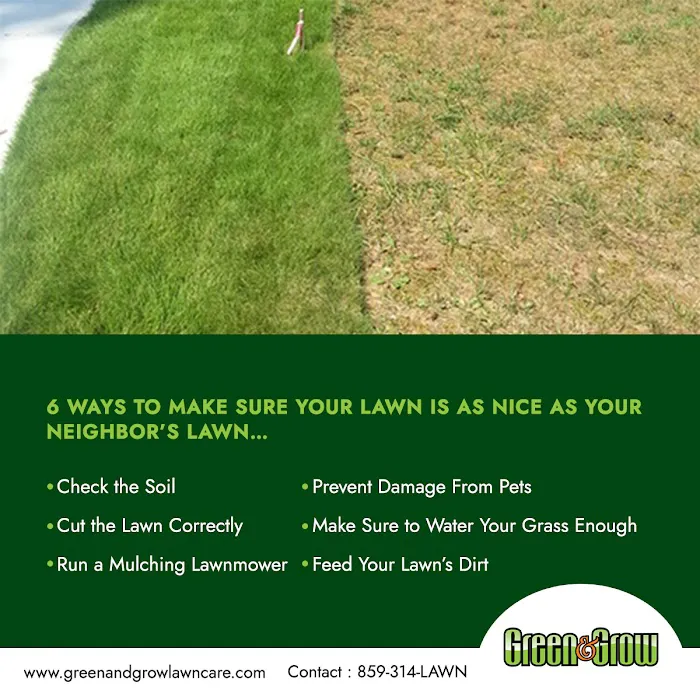 Green & Grow Picture 4