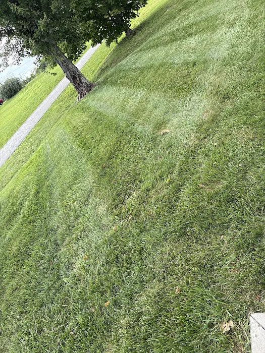 Green & Grow Picture 1