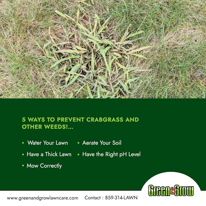 Green & Grow Picture 3