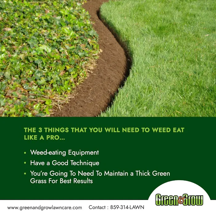 Green & Grow Picture 2