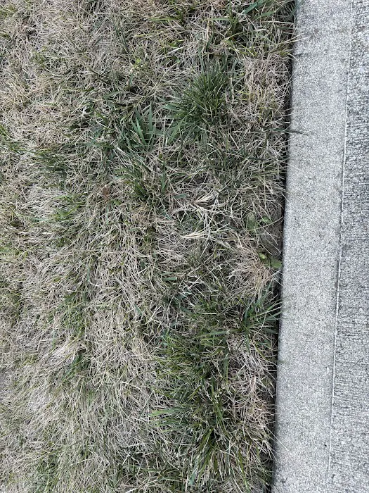 Green & Grow Picture 8