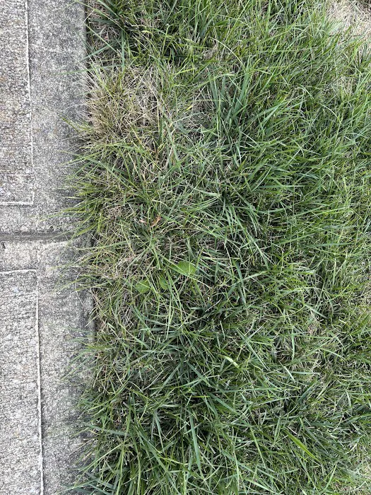 Green & Grow Picture 9