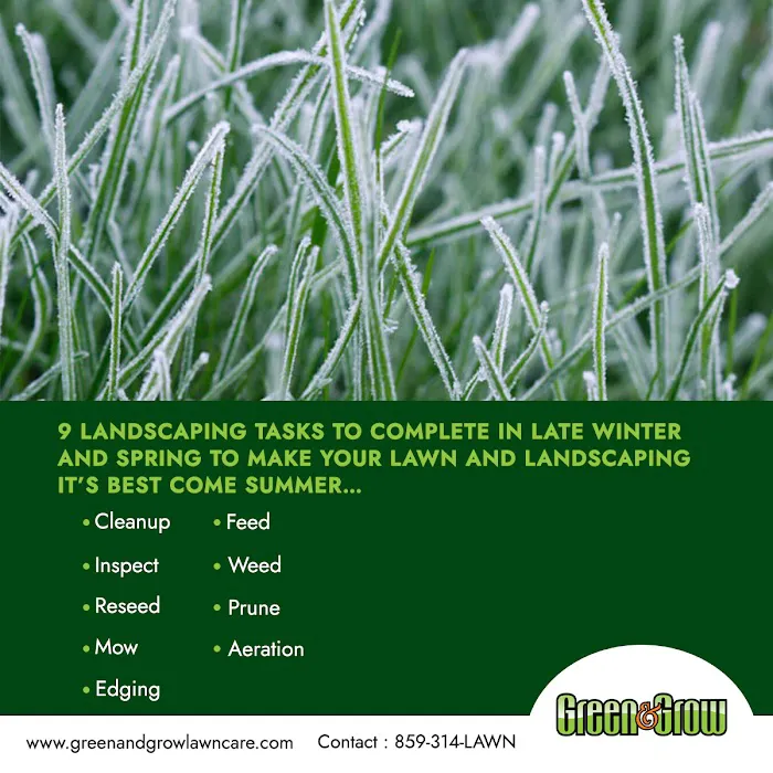 Green & Grow Picture 7