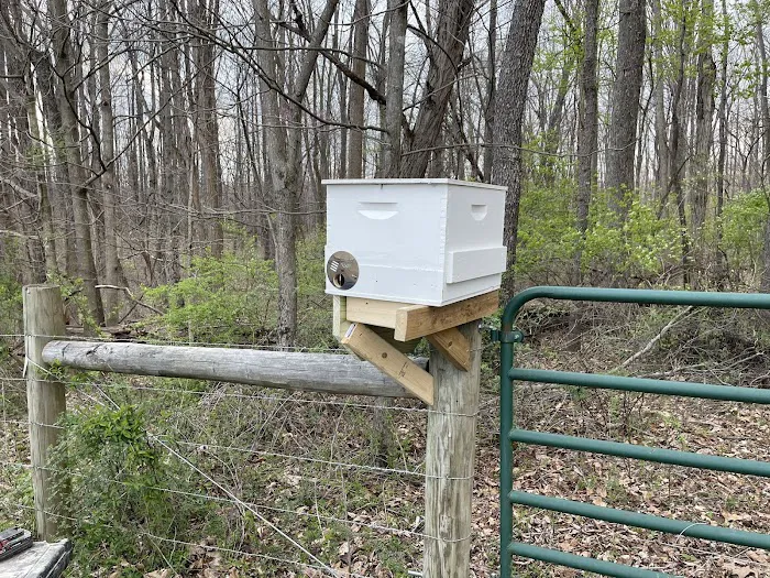 Shelton Farms Picture 1