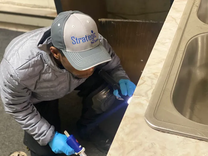 Strategic Pest Solutions LLC Picture 7