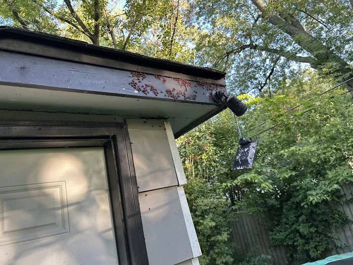 Budget Pest Control Inc. Picture 3