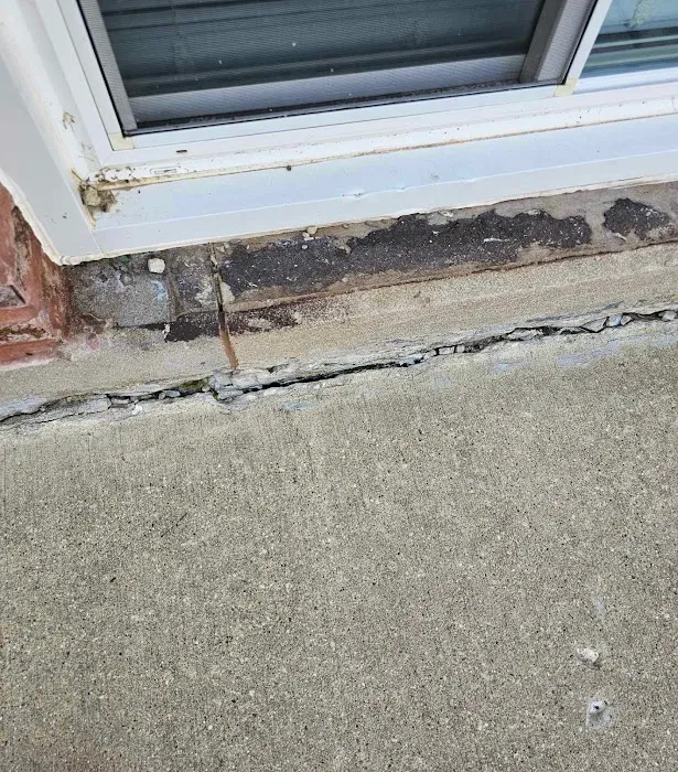 Budget Pest Control Inc. Picture 4