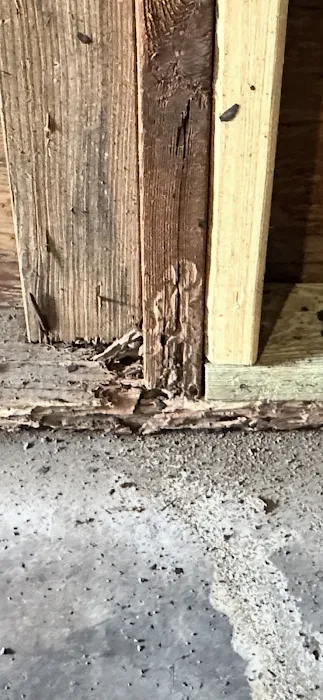 T.N.T Exterminators Picture 6