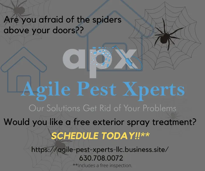 Agile Pest Xperts, LLC Picture 6