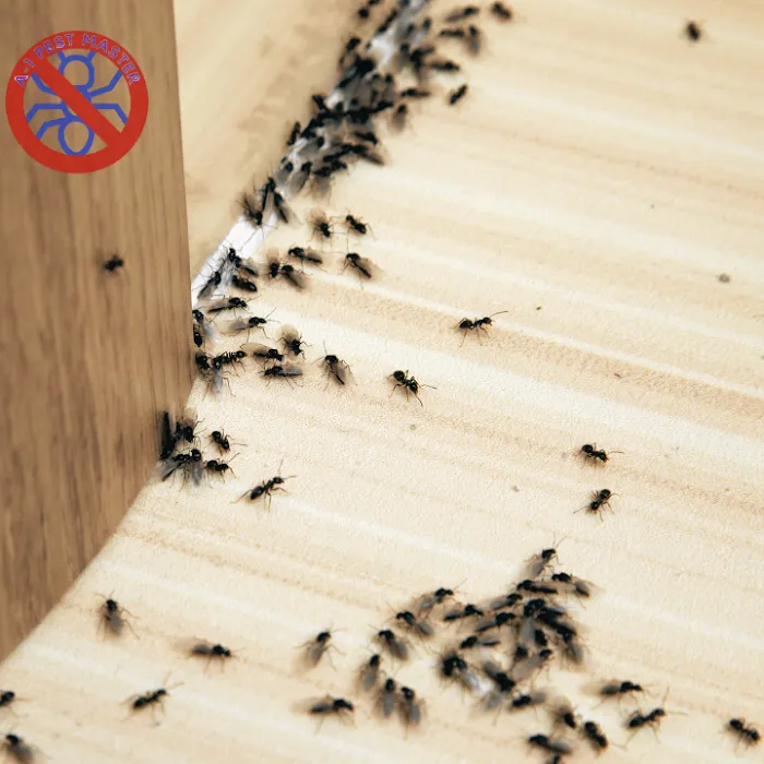 A-1 Pest Master Exterminating Company Inc. Picture 4