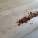 Moerman Pest Control/Michigan Termite Service Inc.