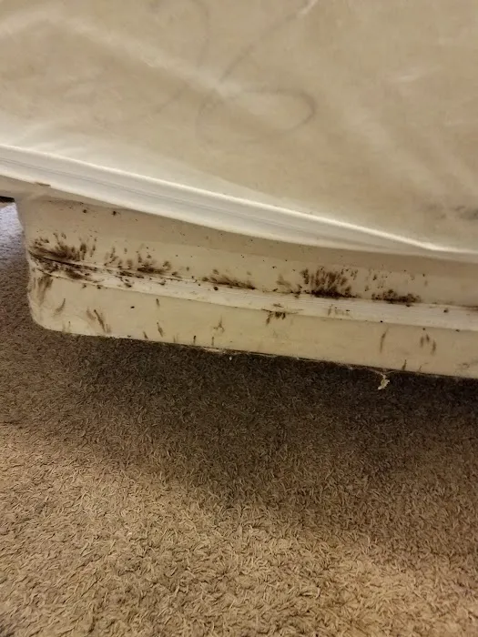 Moerman Pest Control/Michigan Termite Service Inc. Picture 5