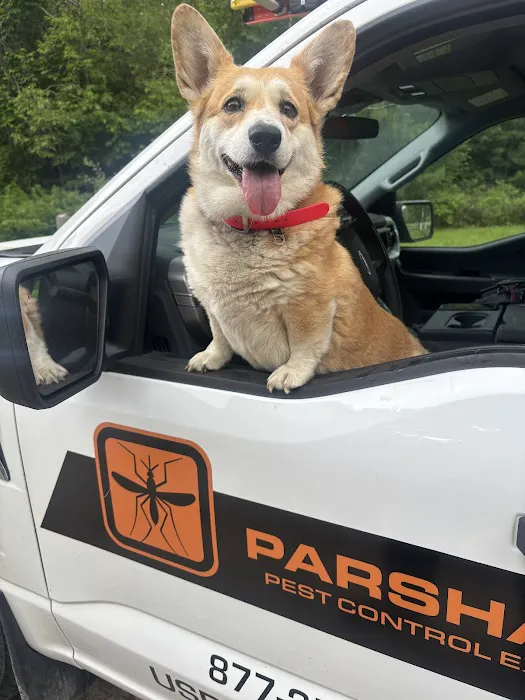 Parshall Pest Control Experts Picture 4
