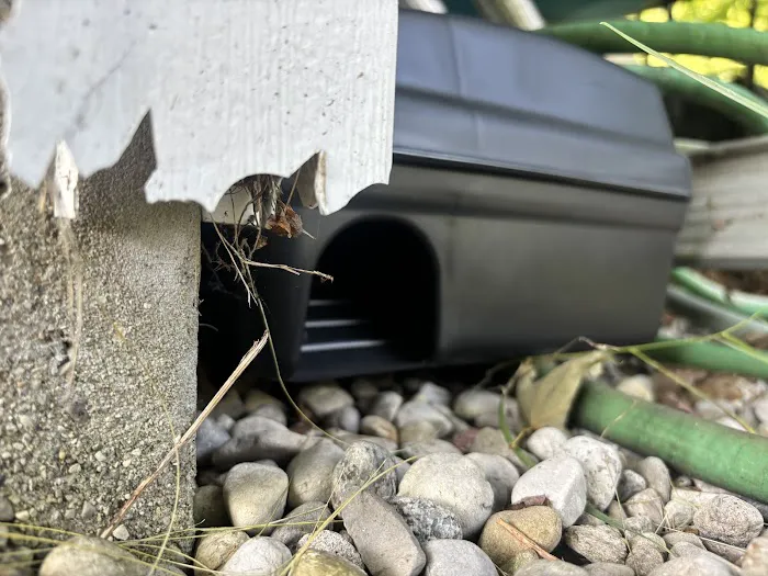 Parshall Pest Control Experts Picture 7
