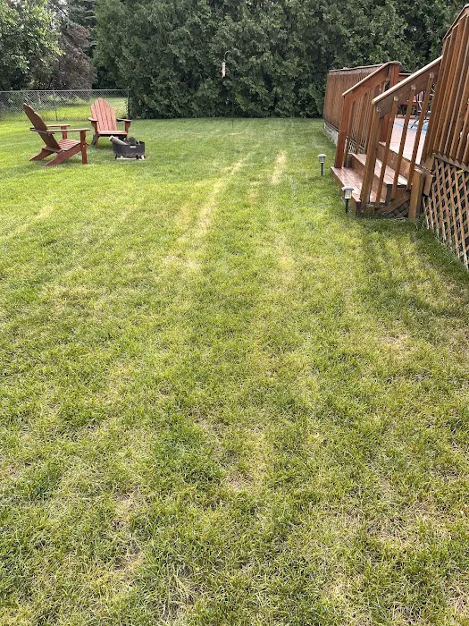 AAA Lawn Care, Inc. Picture 2