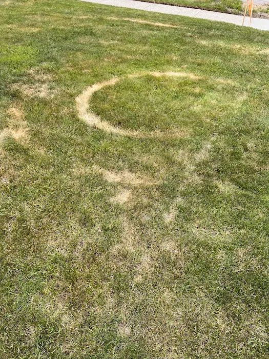 AAA Lawn Care, Inc. Picture 6