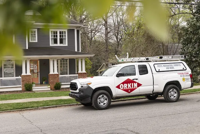 Orkin Picture 8