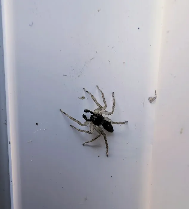 Grand Rapids Pest Control, Inc. Picture 2