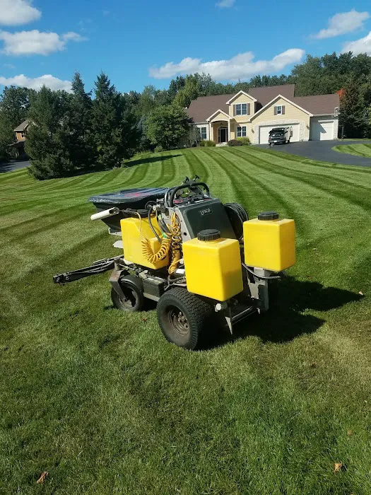 Perfection Lawn and Pest Control Picture 3