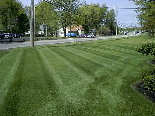 Perfection Lawn and Pest Control Picture 5