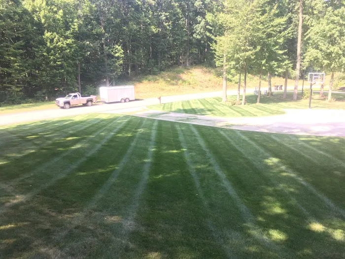 Perfection Lawn and Pest Control Picture 2