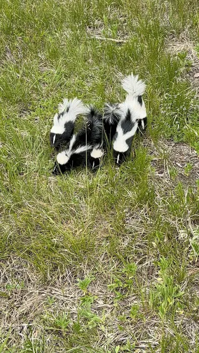 Advanced Wildlife Control Picture 1