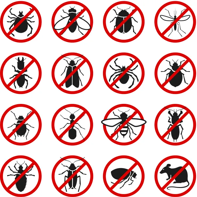 On Guard Pest Control Picture 4