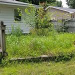MJR Landscape