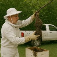 Rodriguez Bee removal ico