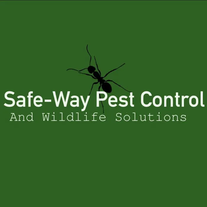 Safe-Way Pest Control and Wildlife Solutions Picture 4