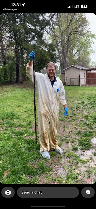 Safe-Way Pest Control and Wildlife Solutions Picture 8